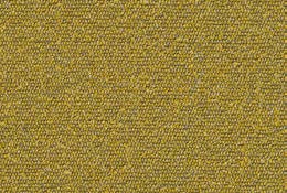 Ally-7.jpg